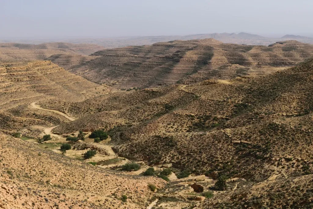 Die terrassierten Hügel des Dahar, durchzogen von einem palmengesäumten Wadi